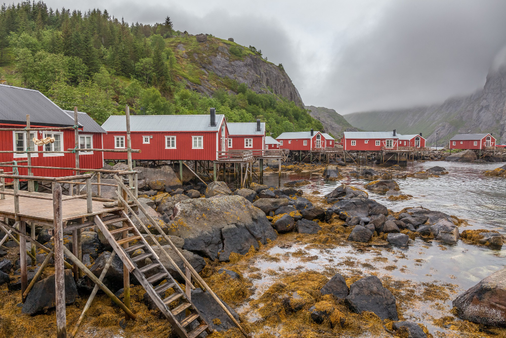 Newfoundland en Labrador 2