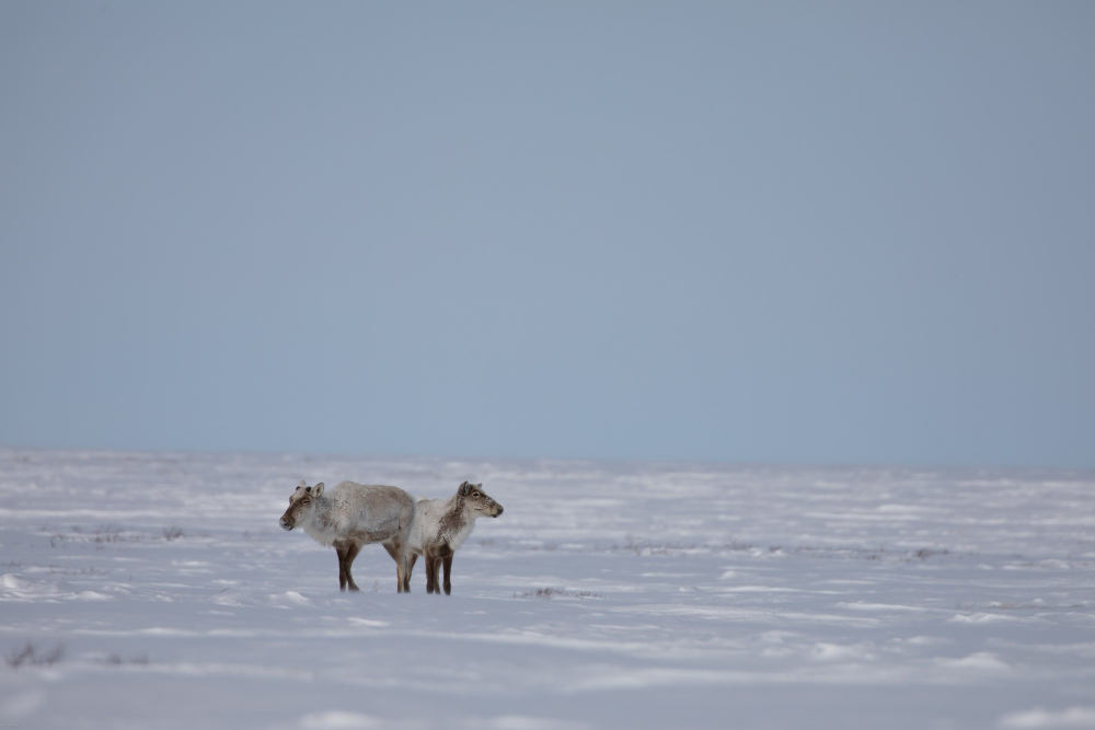 Nunavut